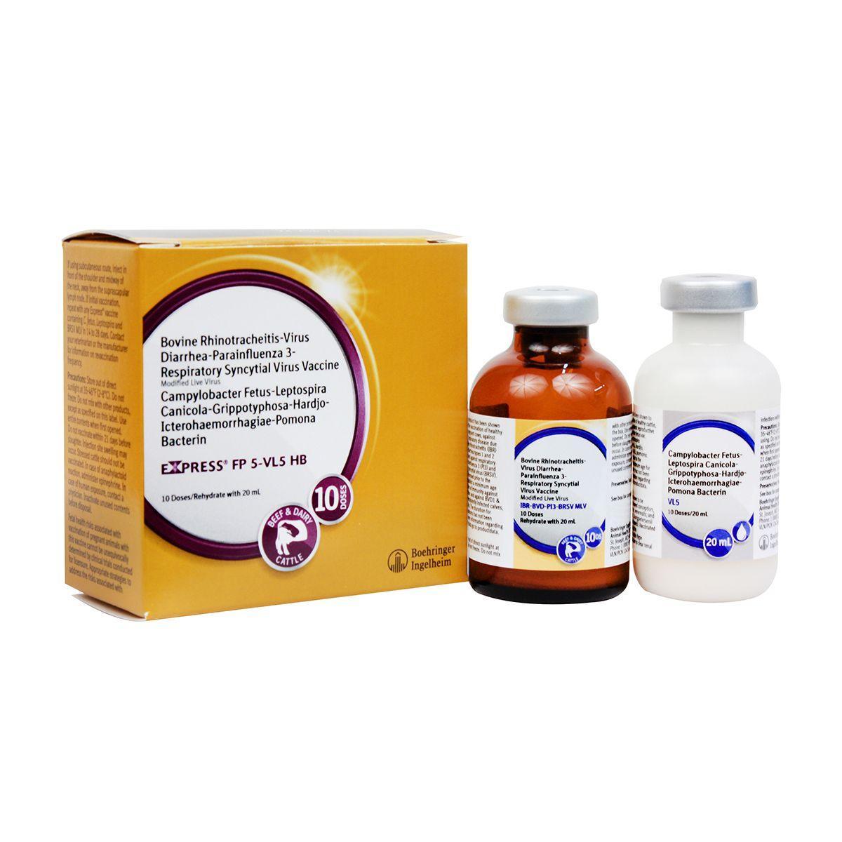 Express FP 5-VL5 HB - Houlihan Saddlery LLC