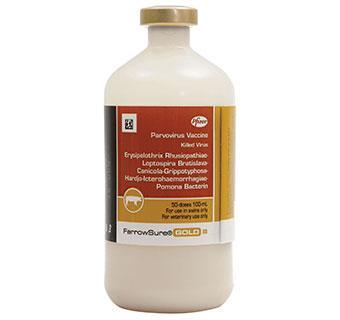 FarrowSure Gold B-100 ml (50 Dose) - Houlihan Saddlery LLC