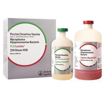 FLEXcombo-250 ml (250 Dose) - Houlihan Saddlery LLC