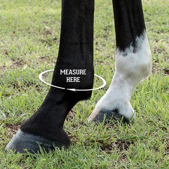 Iconoclast Hind Orthopedic Support Boots - Houlihan Saddlery LLC