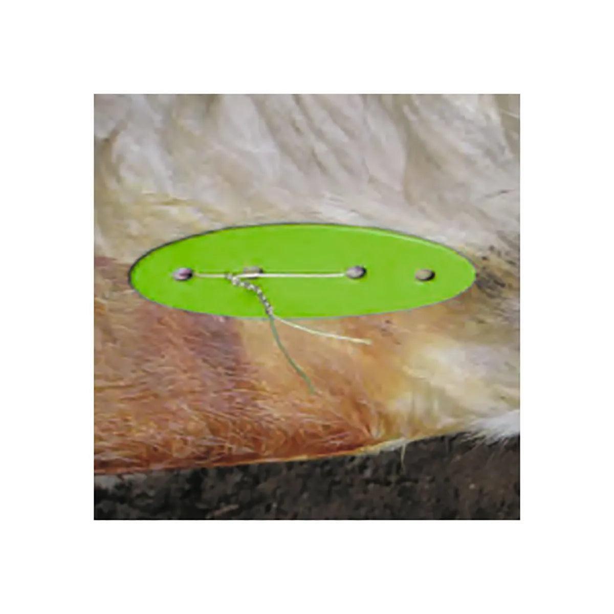 JorVet Toggle Suture Buttons - Houlihan Saddlery LLC