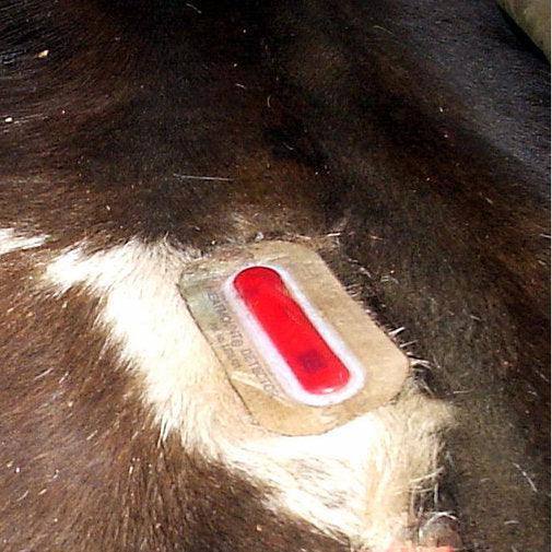 Kamar Heatmount Detectors for Cattle - Houlihan Saddlery LLC