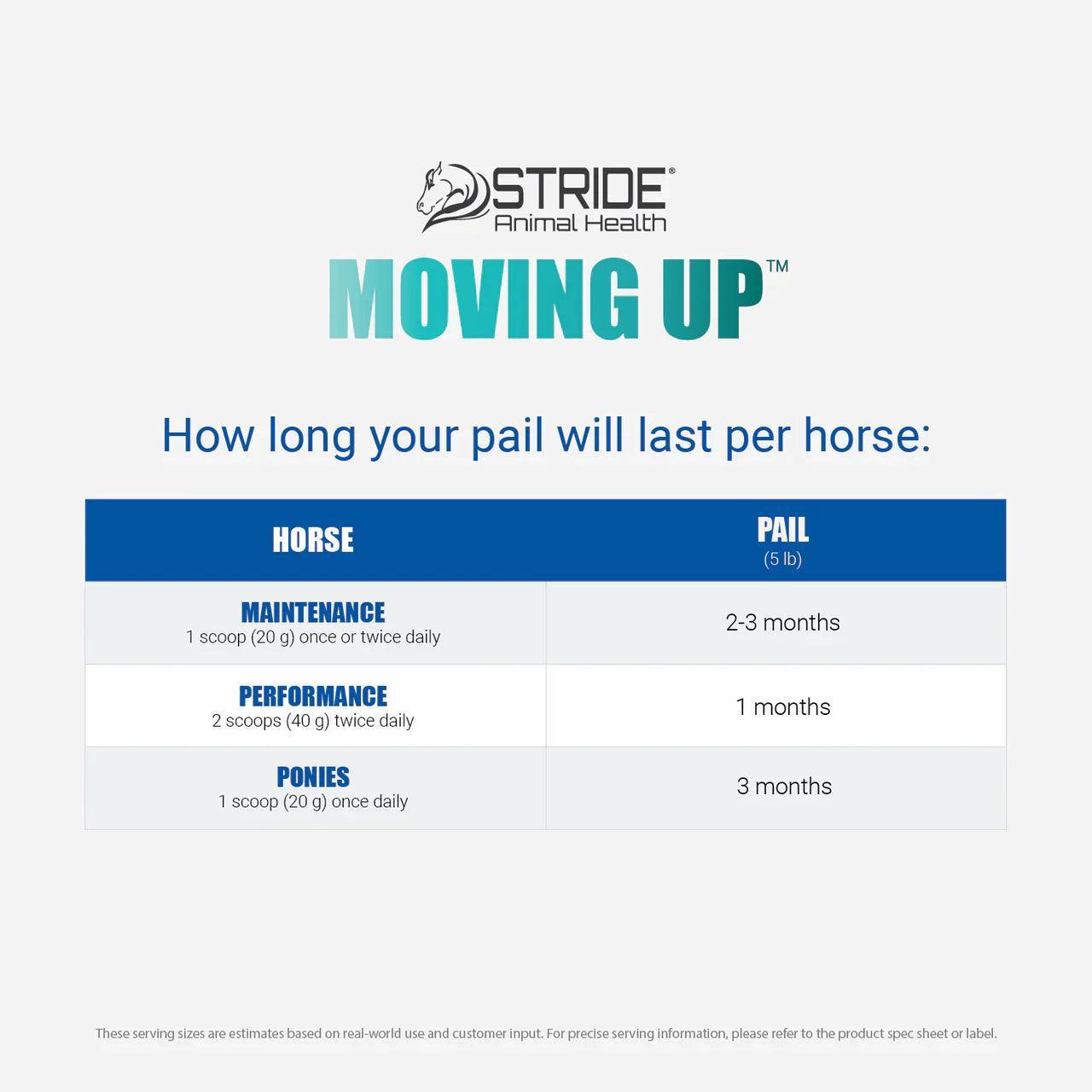 Moving Up - Houlihan Saddlery LLC