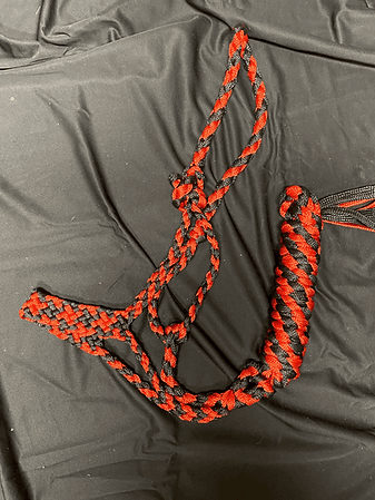 Mule Tape Halter - Houlihan Saddlery LLC