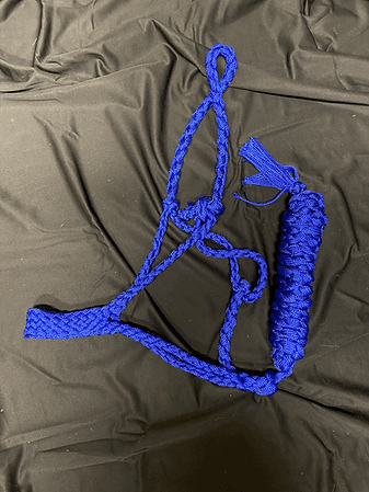 Mule Tape Halter - Houlihan Saddlery LLC
