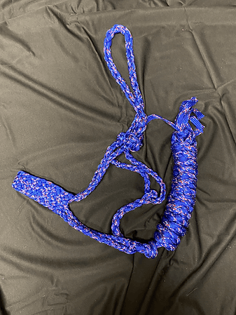 Mule Tape Halter - Houlihan Saddlery LLC