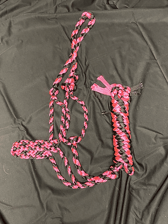 Mule Tape Halter - Houlihan Saddlery LLC