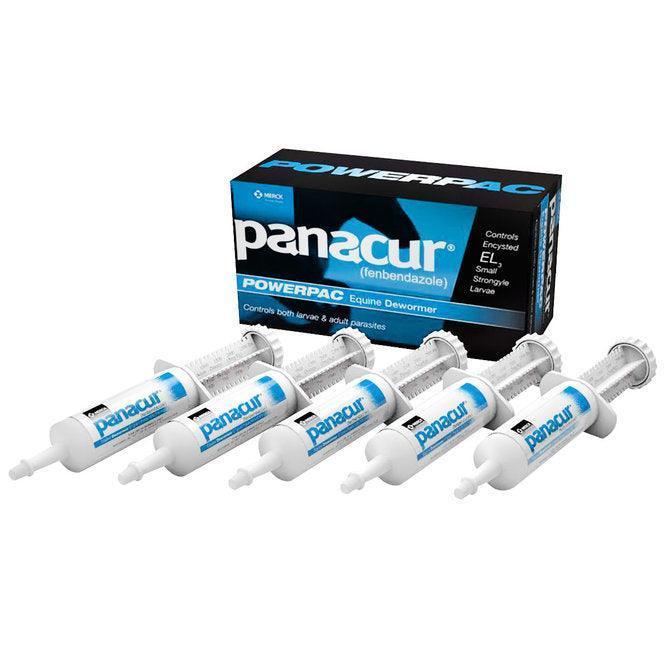 Panacur Horse Dewormer Paste - Horse Dewormer Merck Animal Health Houlihan Saddlery LLC
