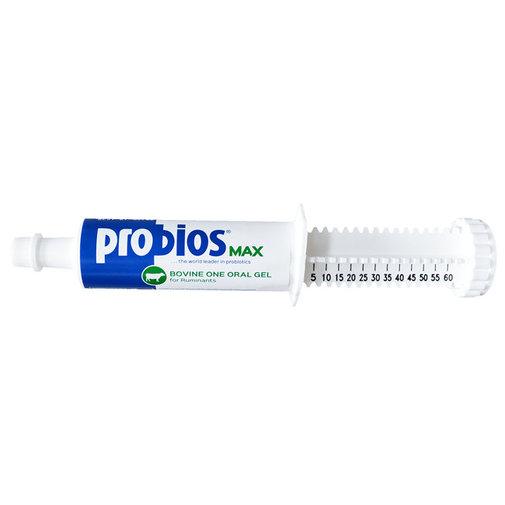 Probios Max Bovine One Oral Gel - Houlihan Saddlery LLC