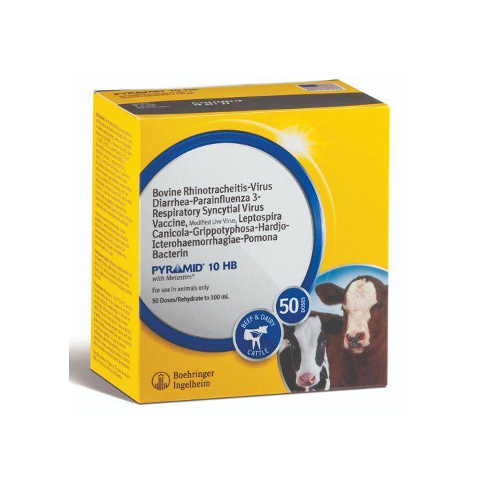 Pyramid 10 HB - Houlihan Saddlery LLC