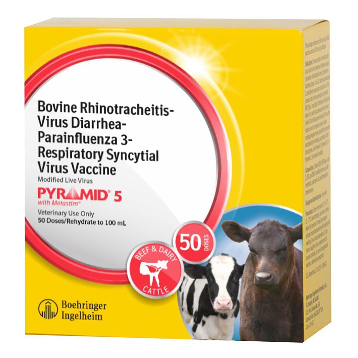 Pyramid 5 - Houlihan Saddlery LLC