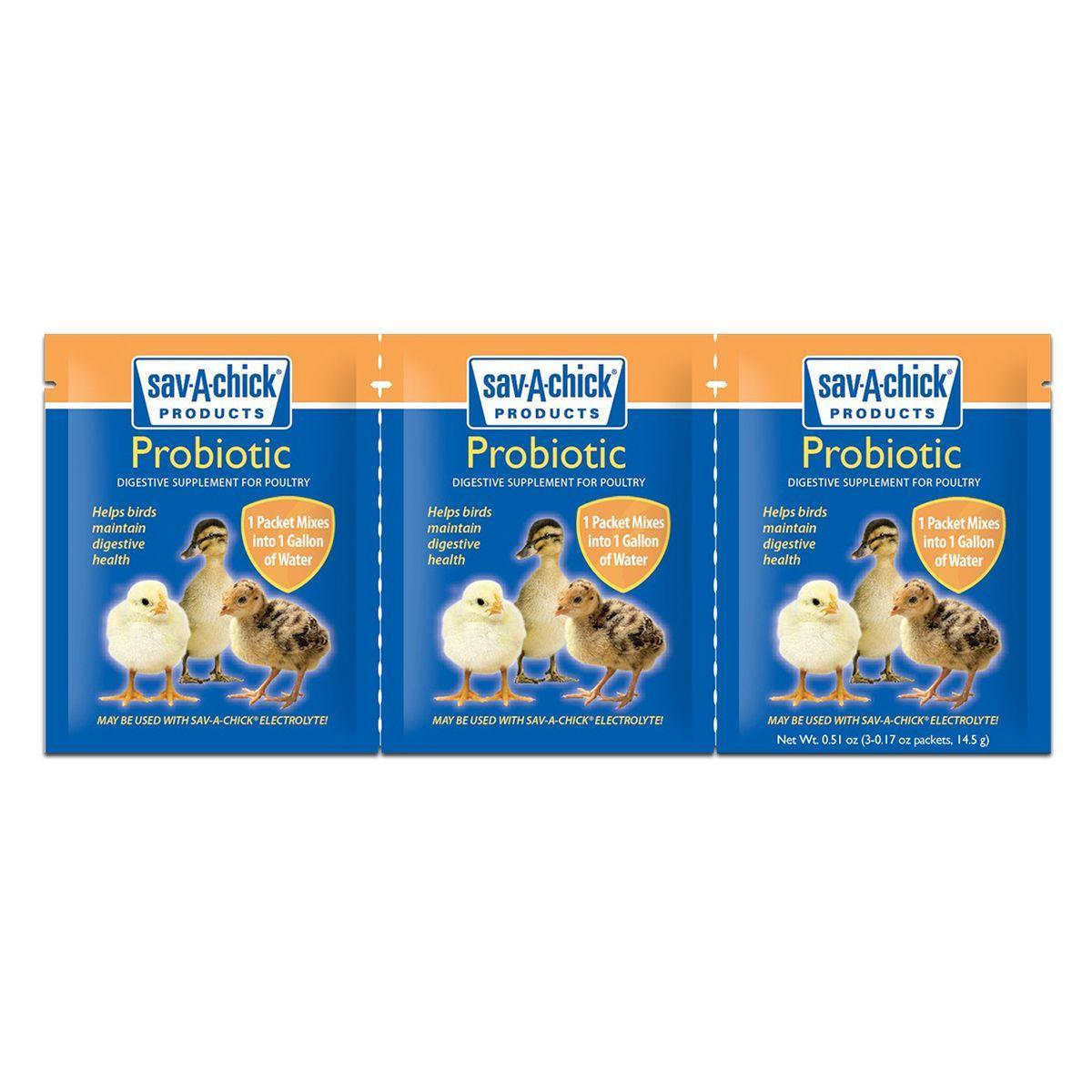 Sav-A-Chick Probiotic Supplement - Houlihan Saddlery LLC