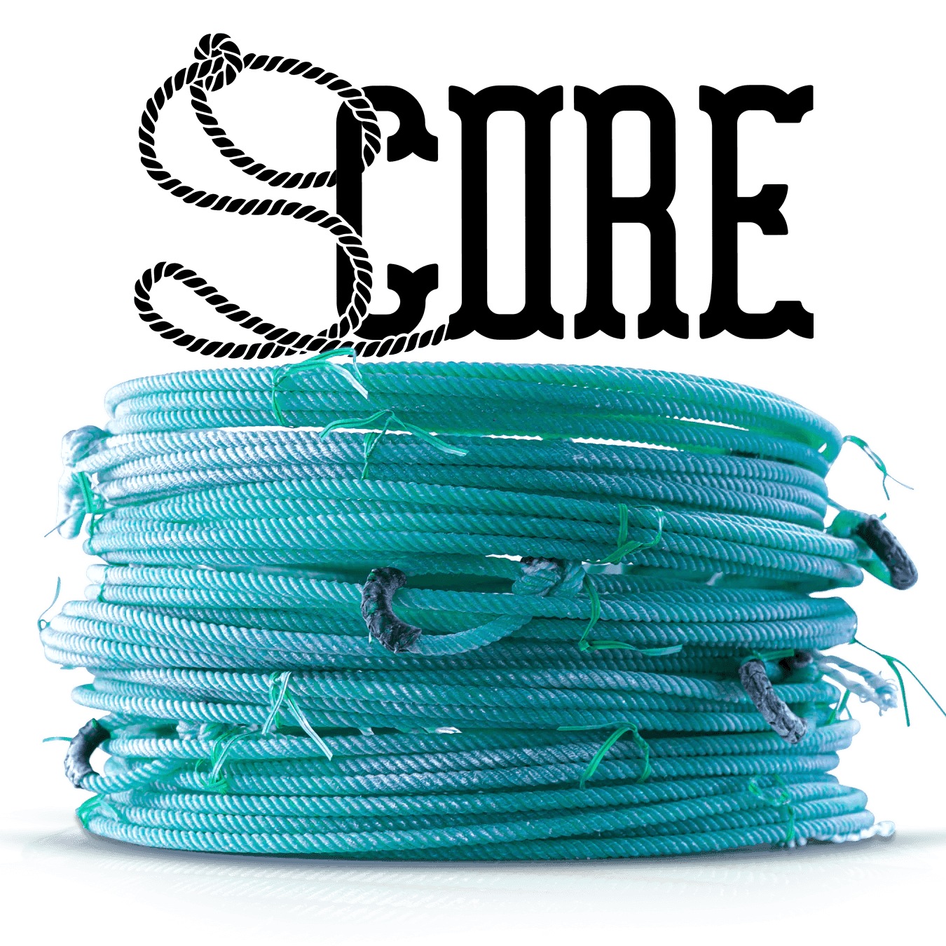 Score - Houlihan Saddlery LLC