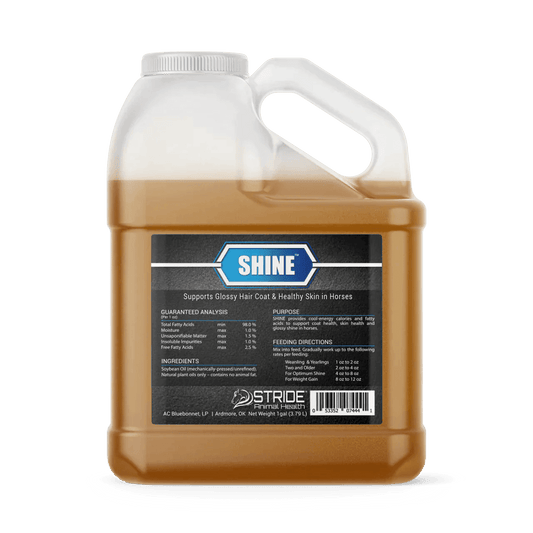 Bluebonnet Shine - Houlihan Saddlery LLC