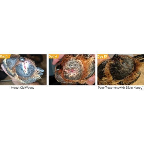 Silver Honey Hot Spot & Wound Care - Houlihan Saddlery LLC