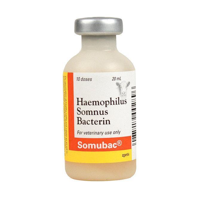 Somubac - Houlihan Saddlery LLC