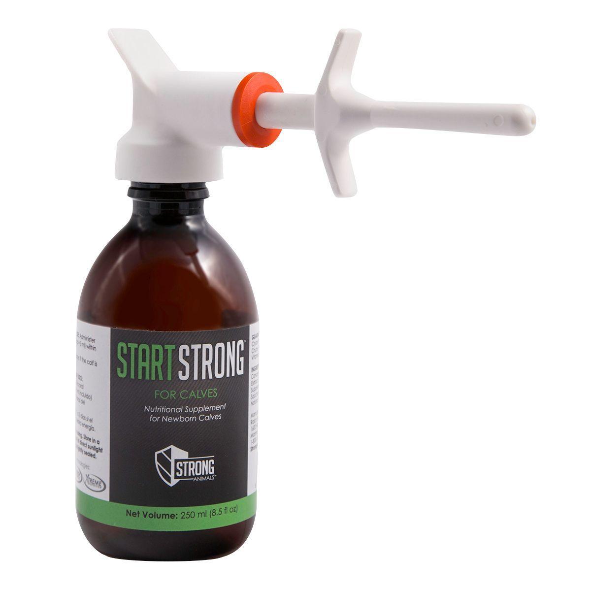 Start Strong for Calves - Houlihan Saddlery LLC