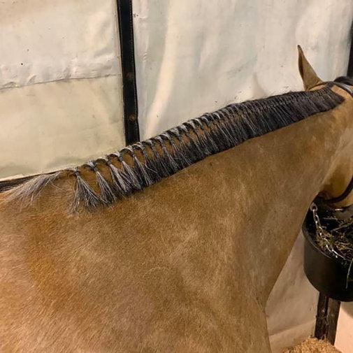 Super Bands - Houlihan Saddlery LLC