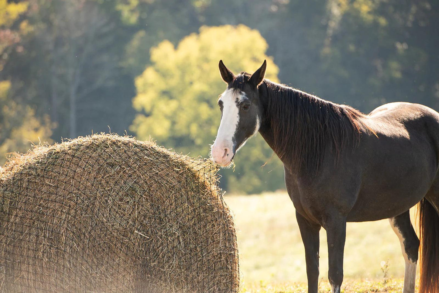 Round Bale Hay Net - Houlihan Saddlery LLC