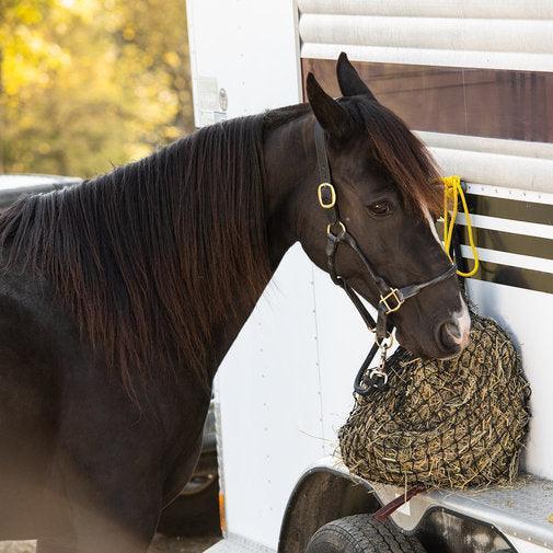 Texas HayNet Small Hay Net - Houlihan Saddlery LLC