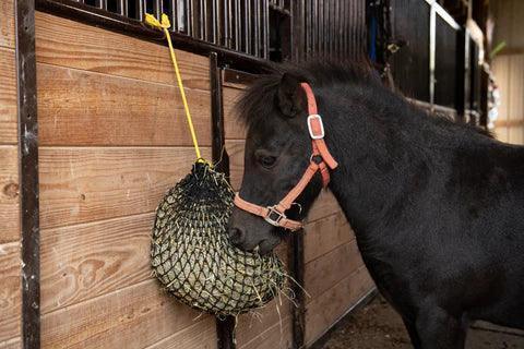 Texas Haynet Xtra Small Hay Net - Houlihan Saddlery LLC
