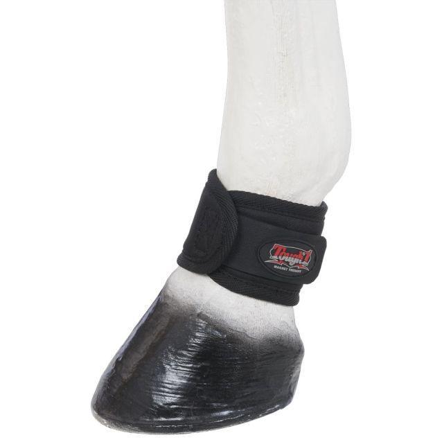 Tough1 Magnetic Therapy Ankle Wraps - Houlihan Saddlery LLC