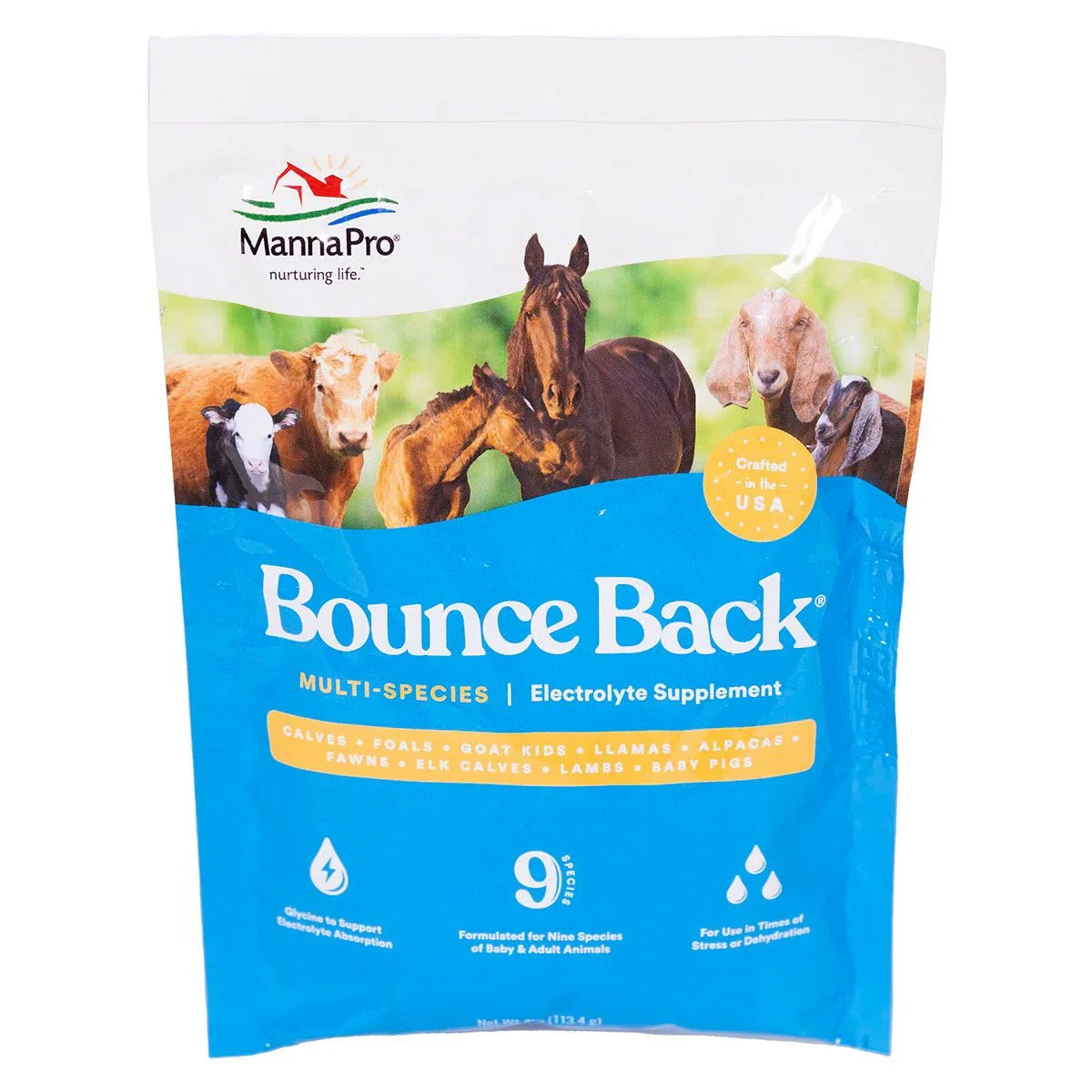Bounce Back Multi-Species Electrolyte Supplement
