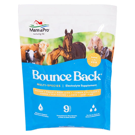 Bounce Back Multi-Species Electrolyte Supplement