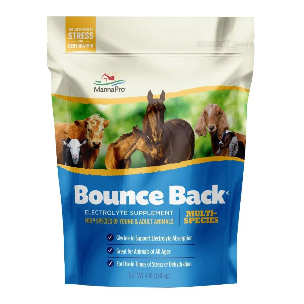 Bounce Back Multi-Species Electrolyte Supplement