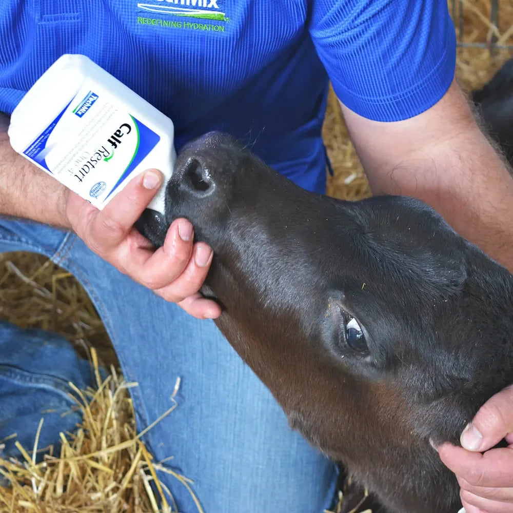 Calf Restart One-4