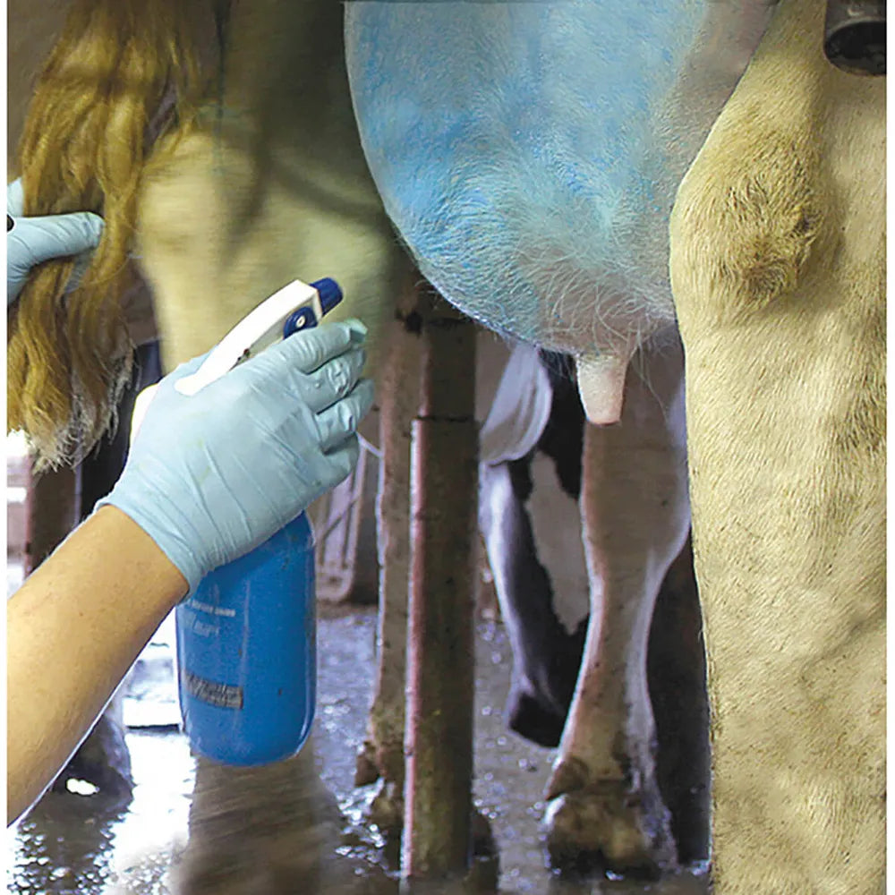 Udder Comfort Spray