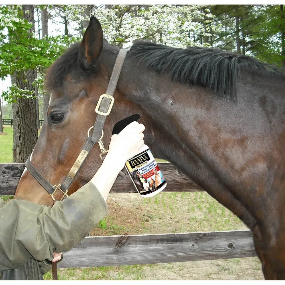Banixx Horse & Pet Care Spray