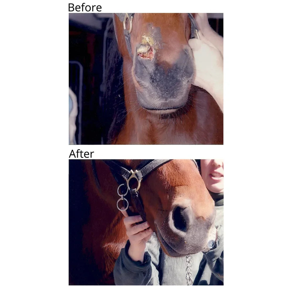 Banixx Horse & Pet Care Spray