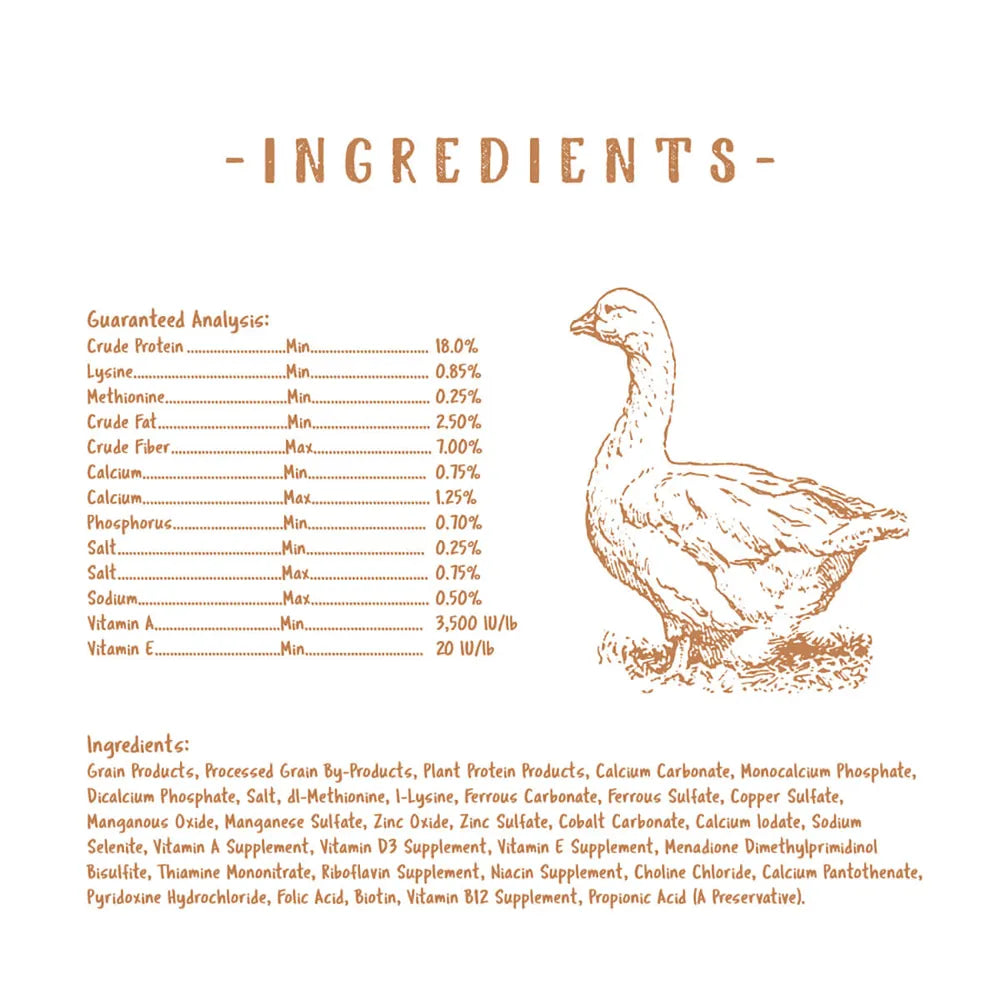 Chick Starter Grower Non-Medicated