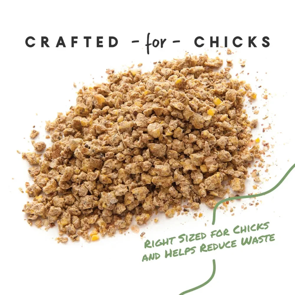 Chick Starter Grower Medicated