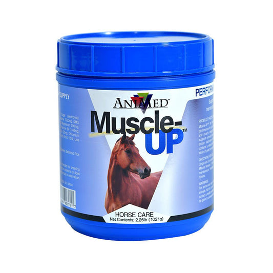 AniMed Muscle-UP - Houlihan Saddlery LLC