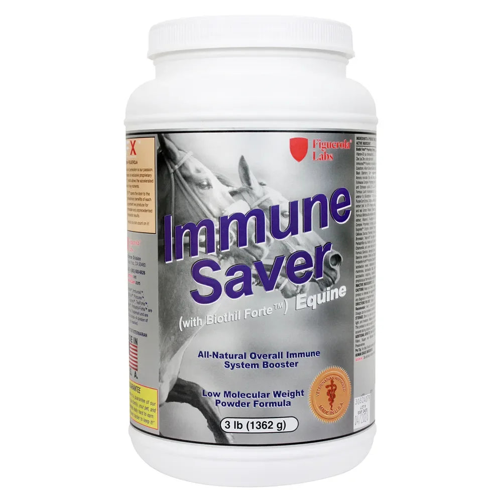 ImmuneSaver (100% Probiothil-Forte) Equine - Horse Supplements Figuerola Labs Houlihan Saddlery LLC