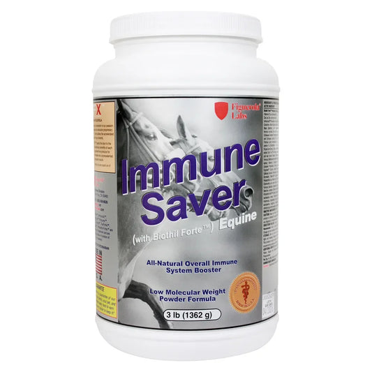 ImmuneSaver (100% Probiothil-Forte) Equine - Horse Supplements Figuerola Labs Houlihan Saddlery LLC