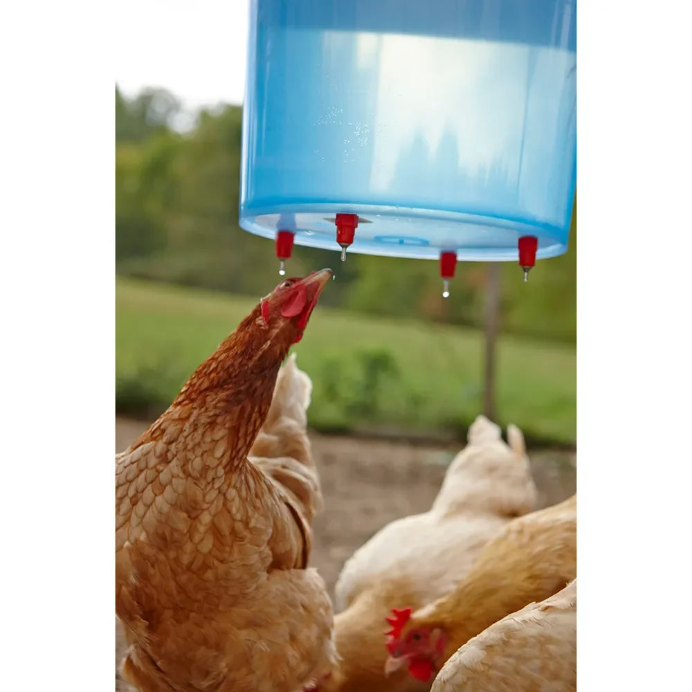 Little Giant Poultry Nipples