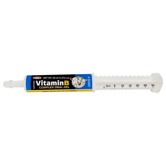 Fortified Vitamin B Complex Oral Gel
