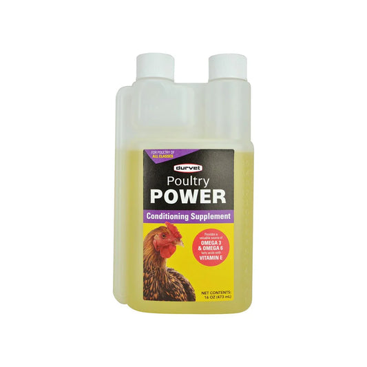 Poultry Power