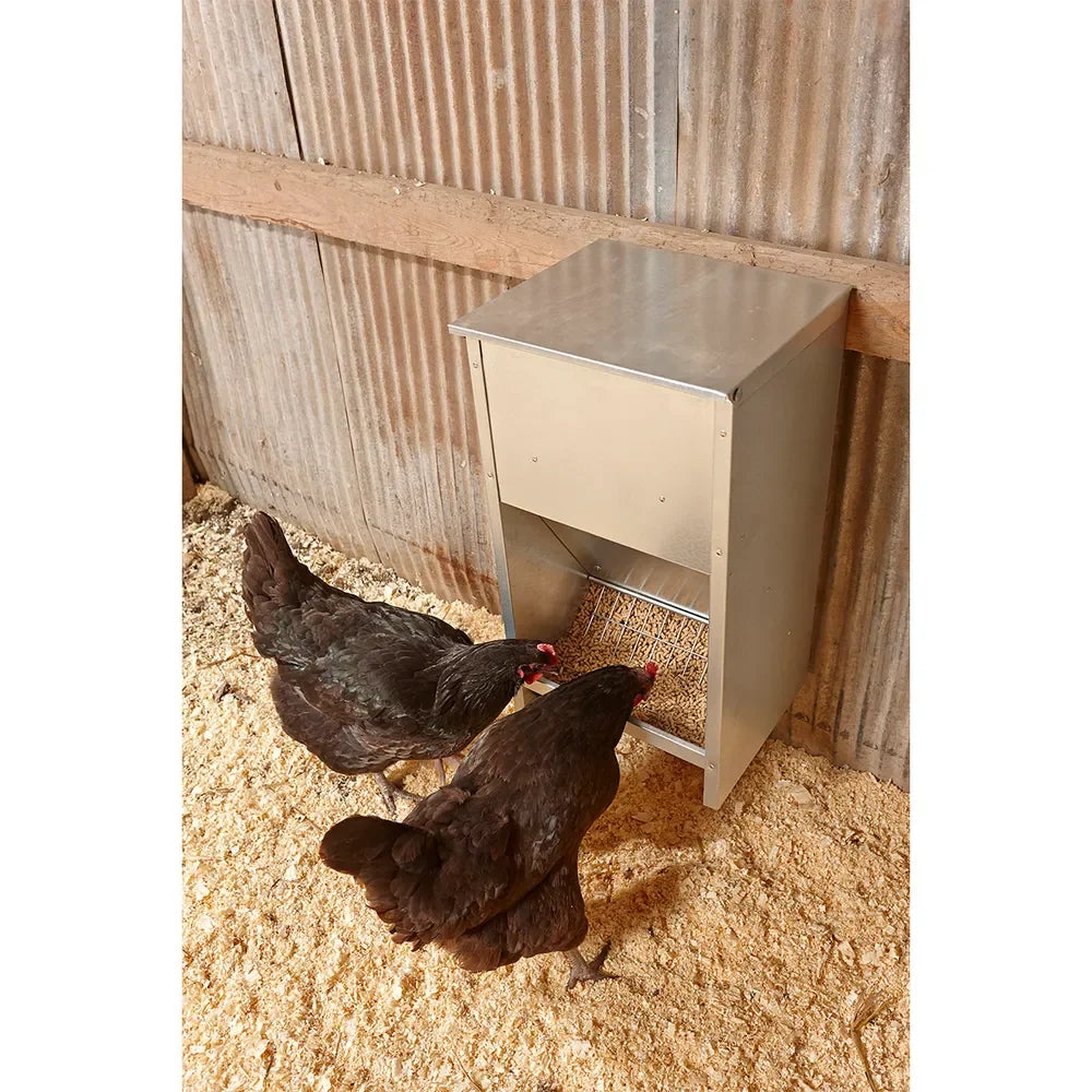 Galvanized High-Capacity Poultry Feeder