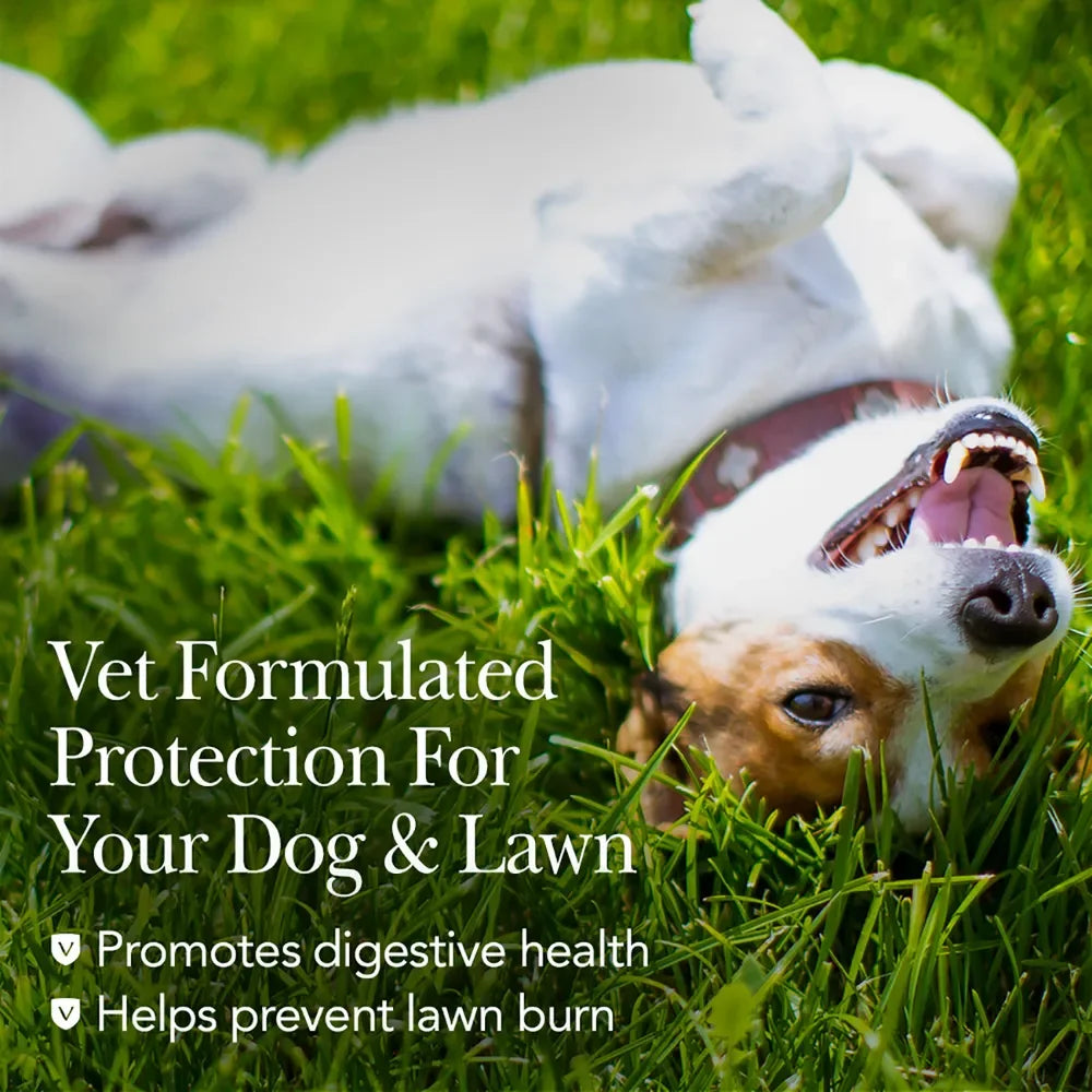 Nutri-Vet Grass Guard Max Chewables