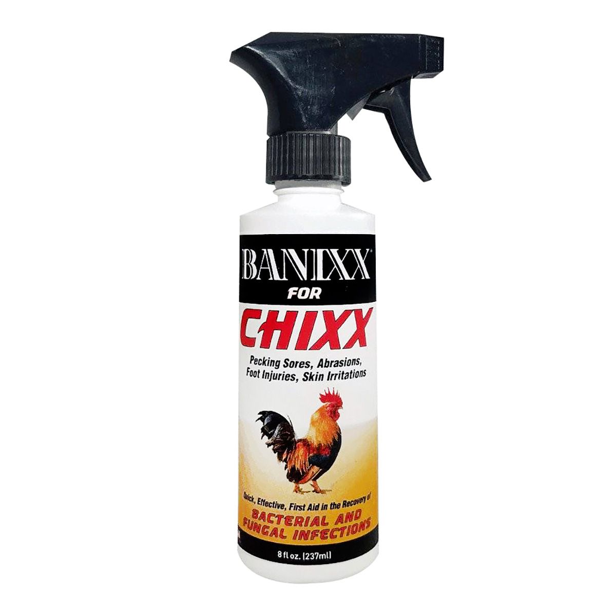 Banixx for Chixx - Houlihan Saddlery LLC