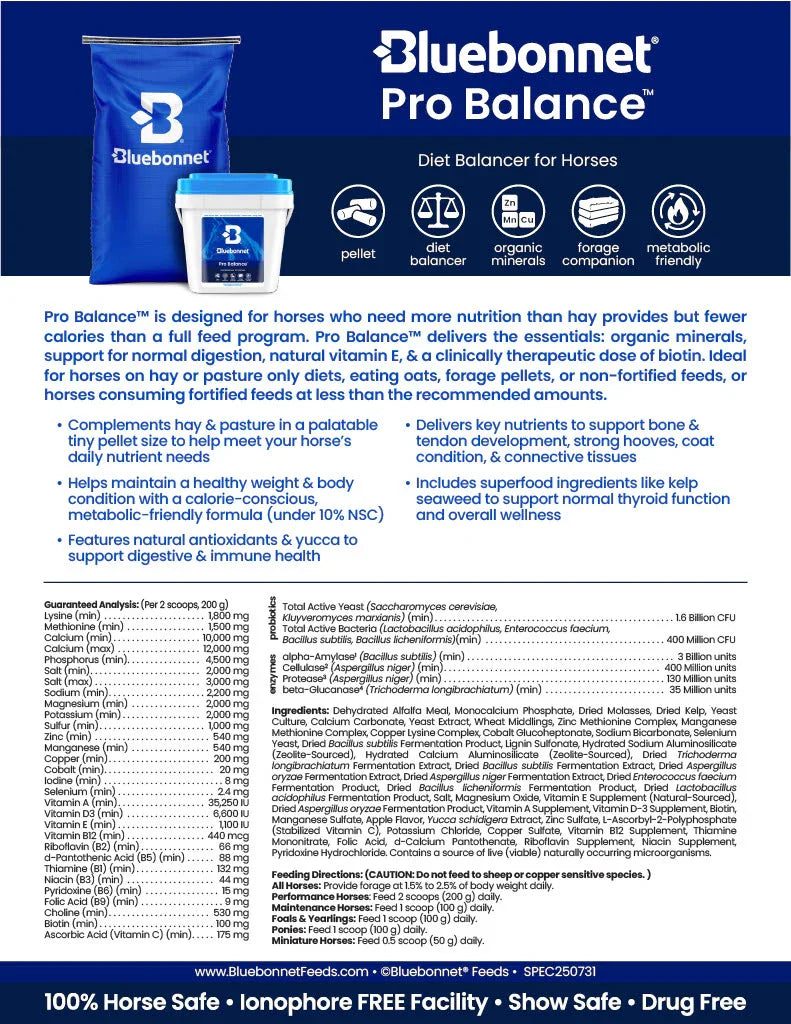 Pro Balance - Horse Supplements Bluebonnet Feeds Houlihan Saddlery LLC