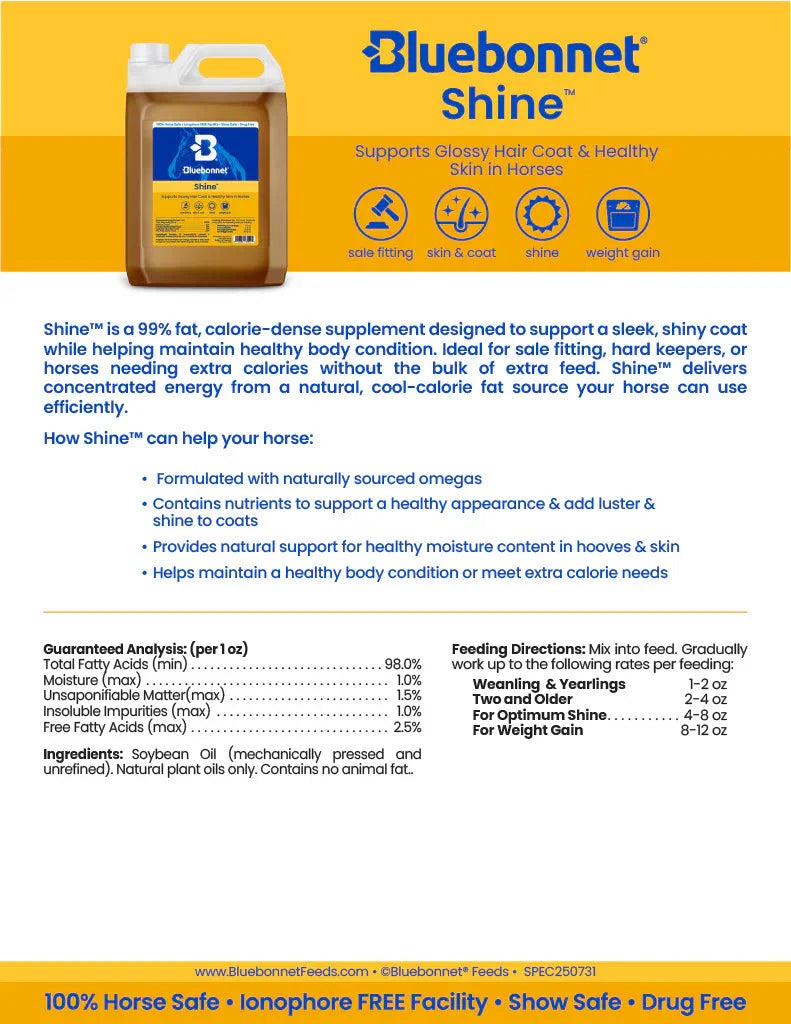 Bluebonnet Shine - Horse Supplements Bluebonnet Feeds Houlihan Saddlery LLC