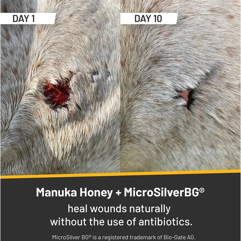 Silver Honey Rapid Wound Repair - Horse Wound Care - Absorbine - Houlihan Saddlery LLC