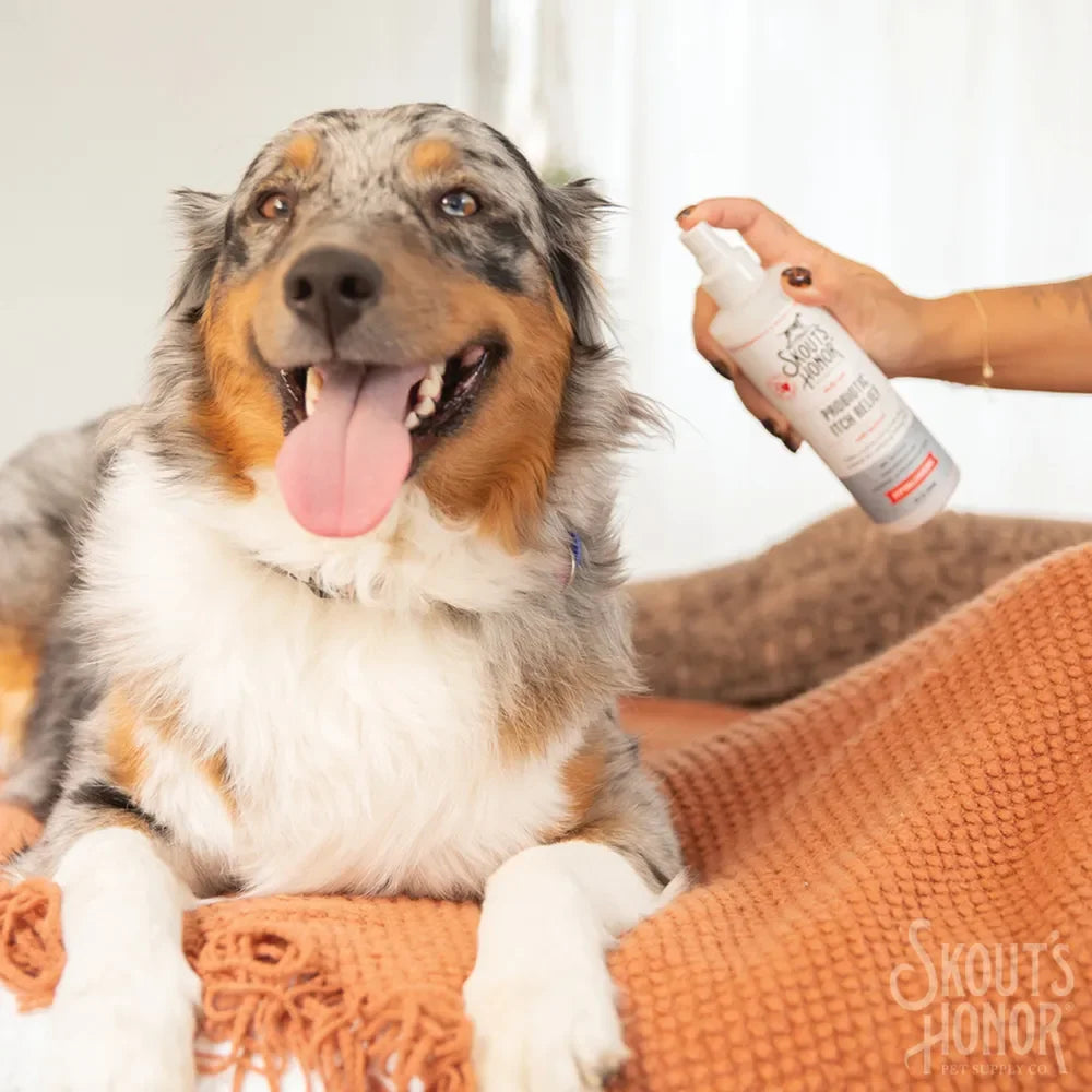 Skout's Honor Probiotic Itch Relief