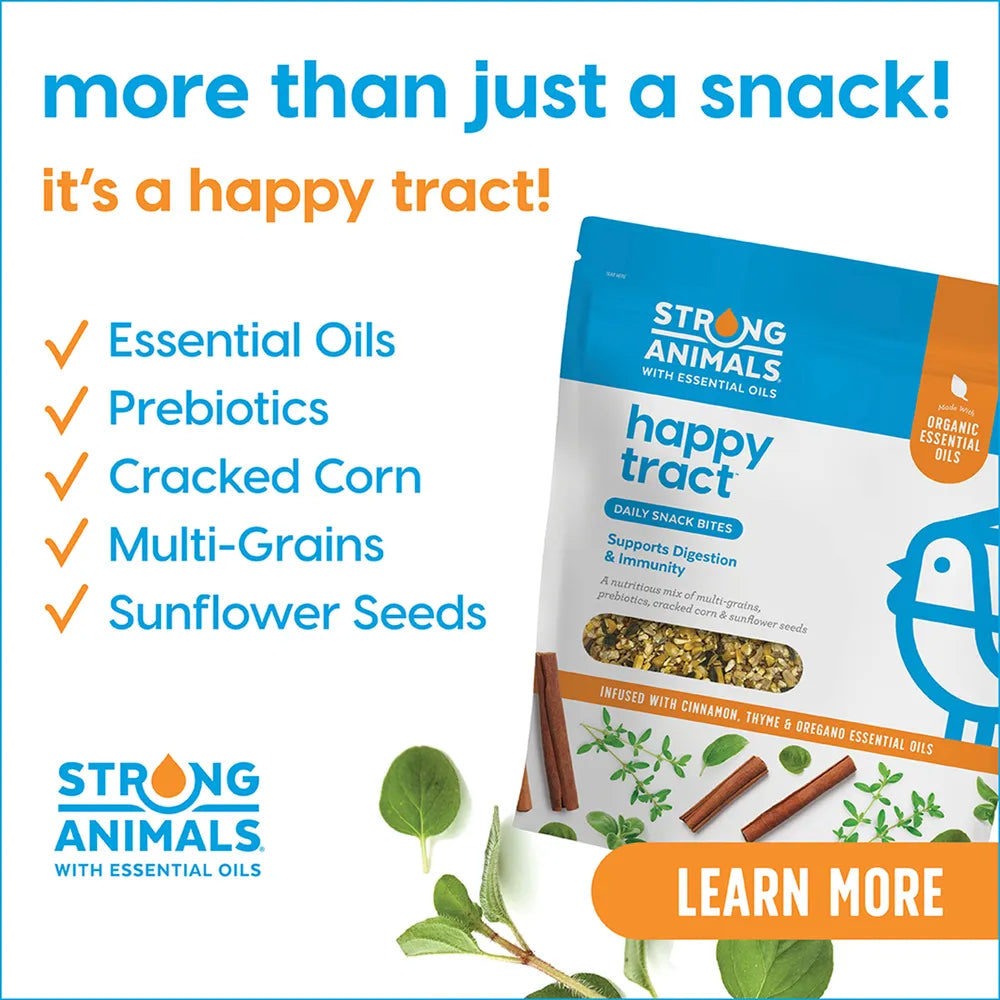 Happy Tract Daily Snack Bites