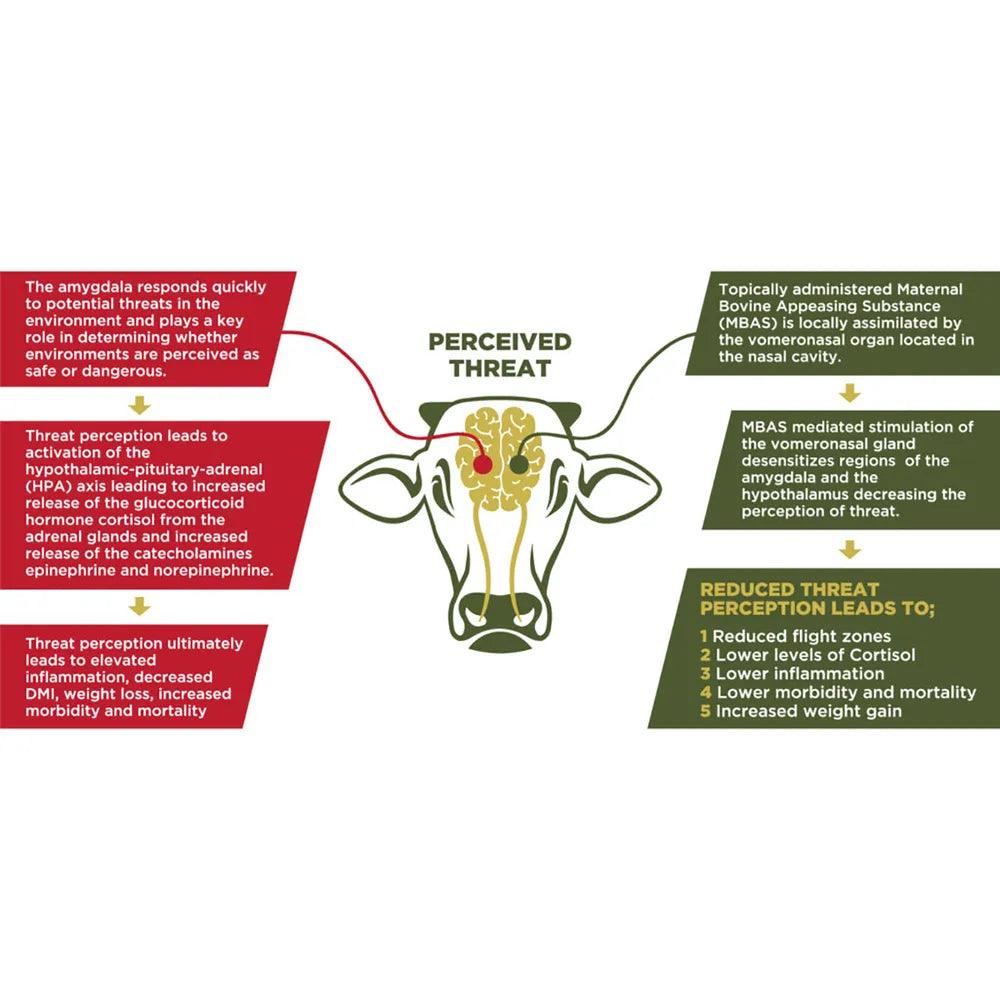 FerAppease Maternal Bovine Appeasing Substance